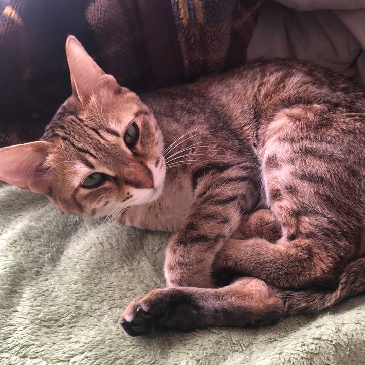 1ad19886 837a 4400 8045 a71983b795fa 1666671638885