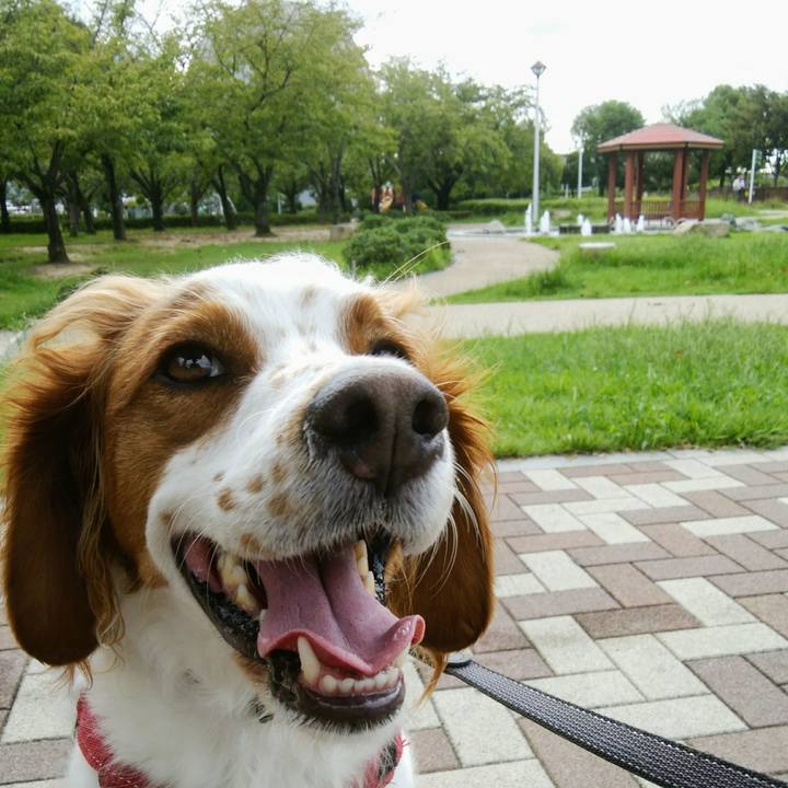 1ad1a501 dcd7 472e 9185 433cc1d0b467 1536578448866