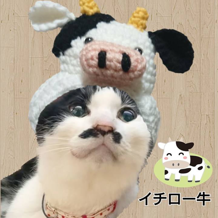1ad1aa11 d064 449c bcd5 e8c659fbcf65 1609723054609