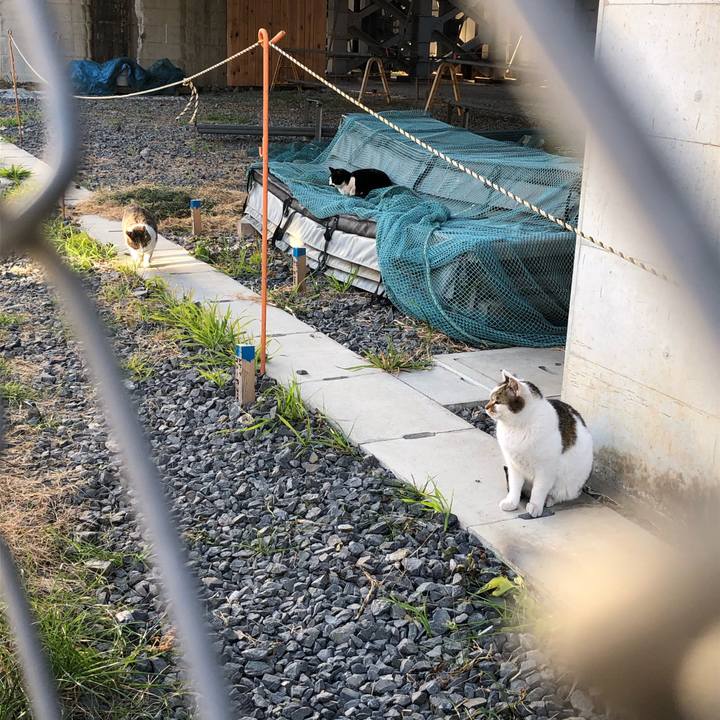 1ad1ac5b 010c 4ab8 8323 e78e42a86014 1547196629601