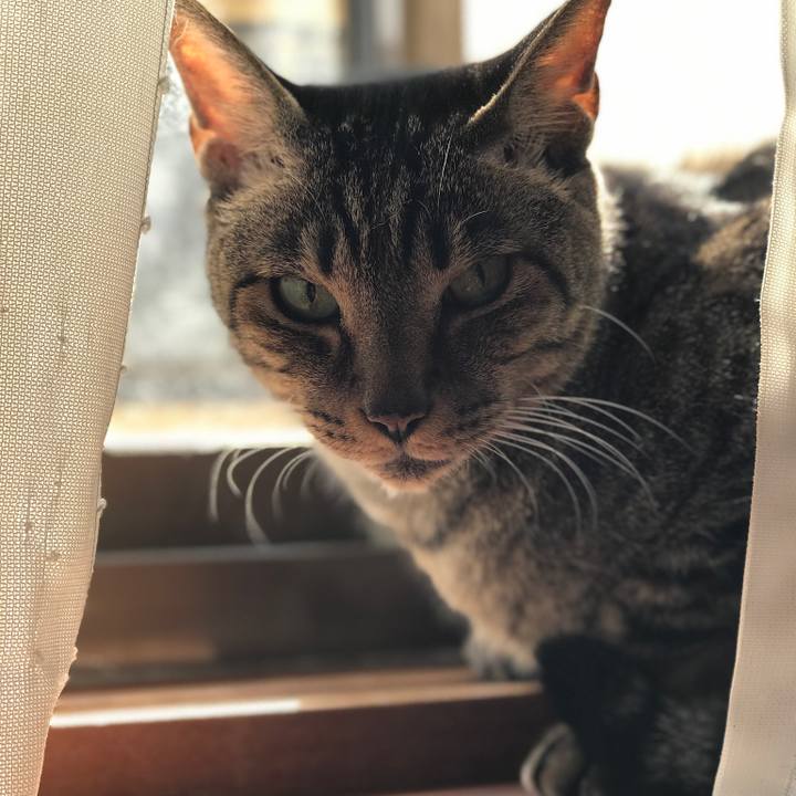 1ad1ddd7 59db 42ae 81f7 da8197c8a984 1509930682211