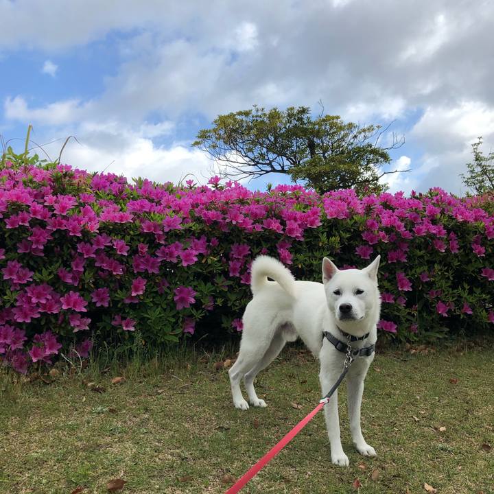 1ad203ef 8279 4398 8abd eac7e60a516a 1556320995594