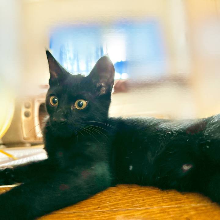 1ad23a9f 8536 41db 9388 1ded31df9605 1724820441815