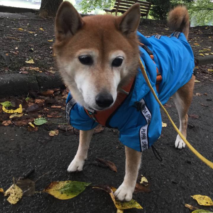 1ad280b9 00e3 43f0 a184 c4bbd220d8be 1630475131887