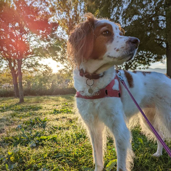 1ad2b68d f0b8 43dd 94c0 a113447123d0 1635554620389