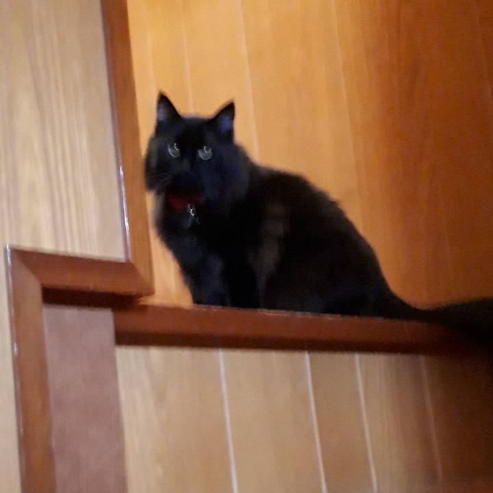 1ad2ce2a e2b0 4878 b1c1 1becd865843c 1517406616551