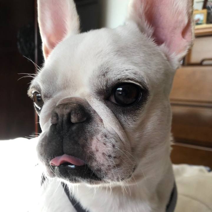 1ad31337 8679 4077 b4da 9fd8a9a9b8be 1569750448385