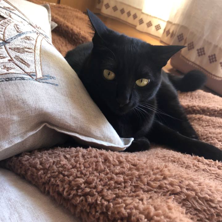 1ad34df5 baed 4398 ae96 63b7e4ce7009 1550889180921