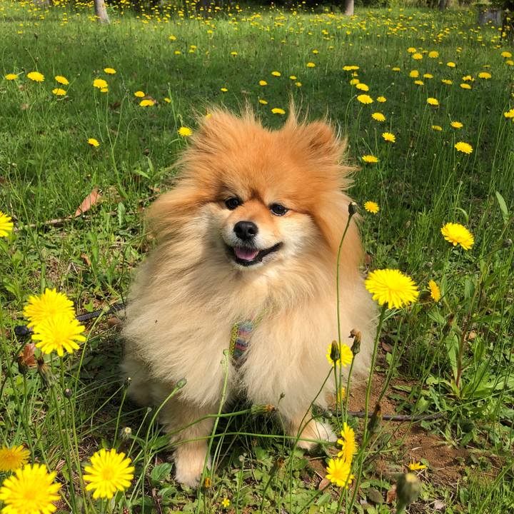 1ad35666 c0db 46ae 894e b5893c209d94 1557540326546