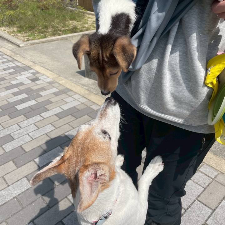 1ad36813 39a8 45bc 8359 89a7636a5825 1743836233951