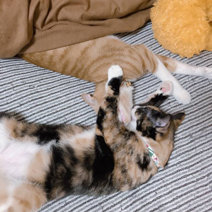 1ad379d0 20a0 4494 b491 c747f4b3d779 1569850764044