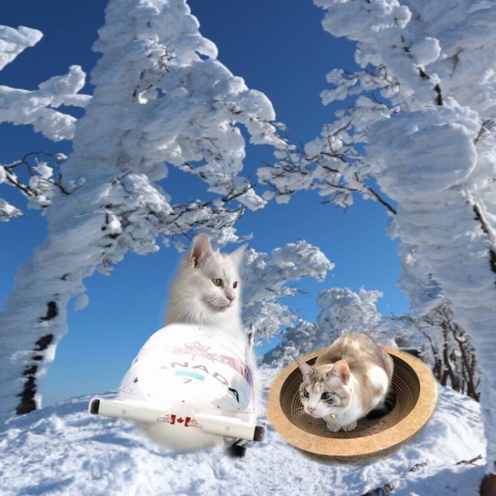 1ad385f2 d5b5 4b10 86d4 7fa8039f3538 1547385639712