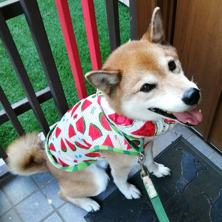 1ad3862e 0523 4a9a 903e f99fbe39b3f7 1693902052307