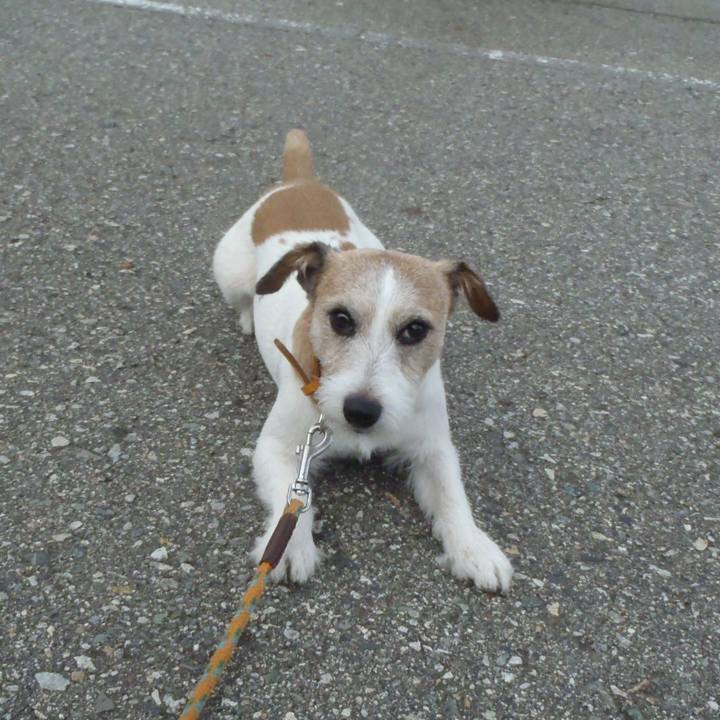 1ad3b674 e074 4a32 964a 99f6ef681136 1541846434907