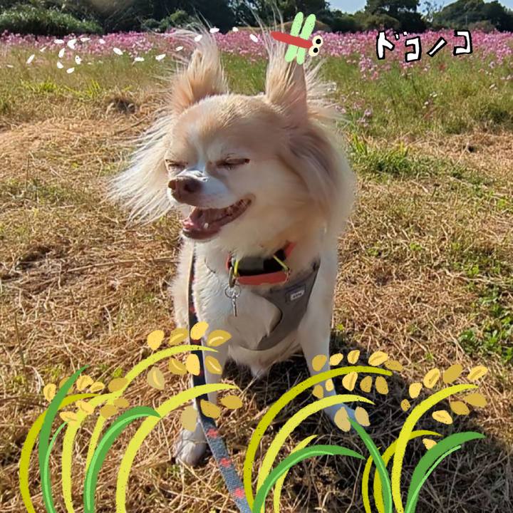 1ad3e381 ba53 4930 8fd0 7ff88438a78e 1761899961623