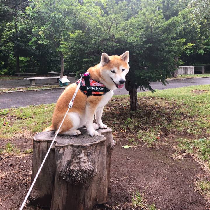 1ad3e78b fe20 4e71 8216 721599c77b1f 1596770225996