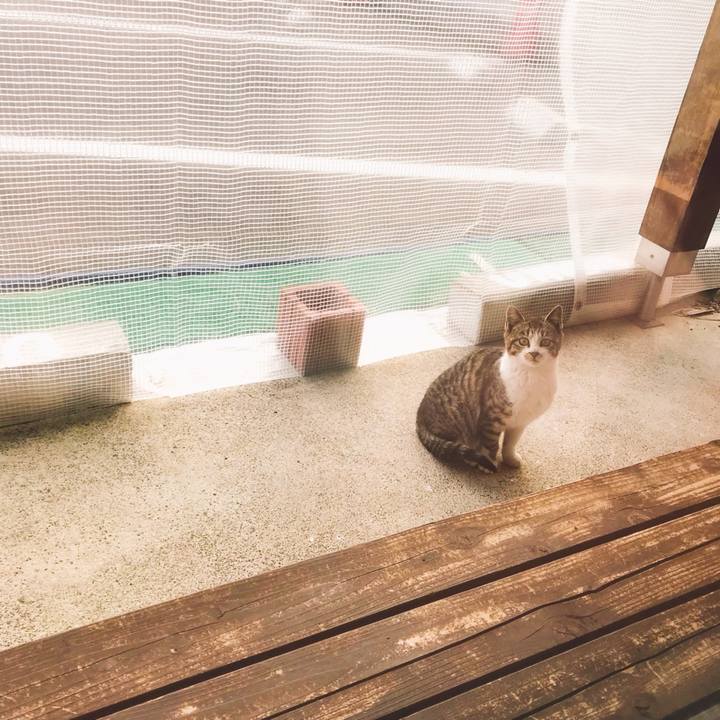 1ad43675 1dfd 49a0 b31a b0ec330818b6 1520677579015