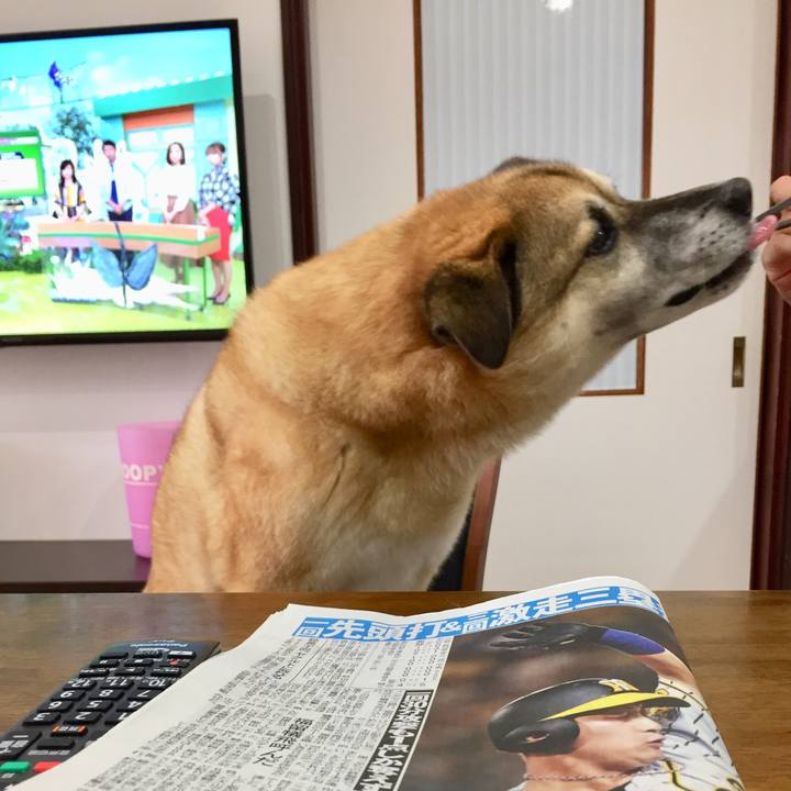 1ad46343 9670 4916 a9dc 8c67f7041baa 1568154363752