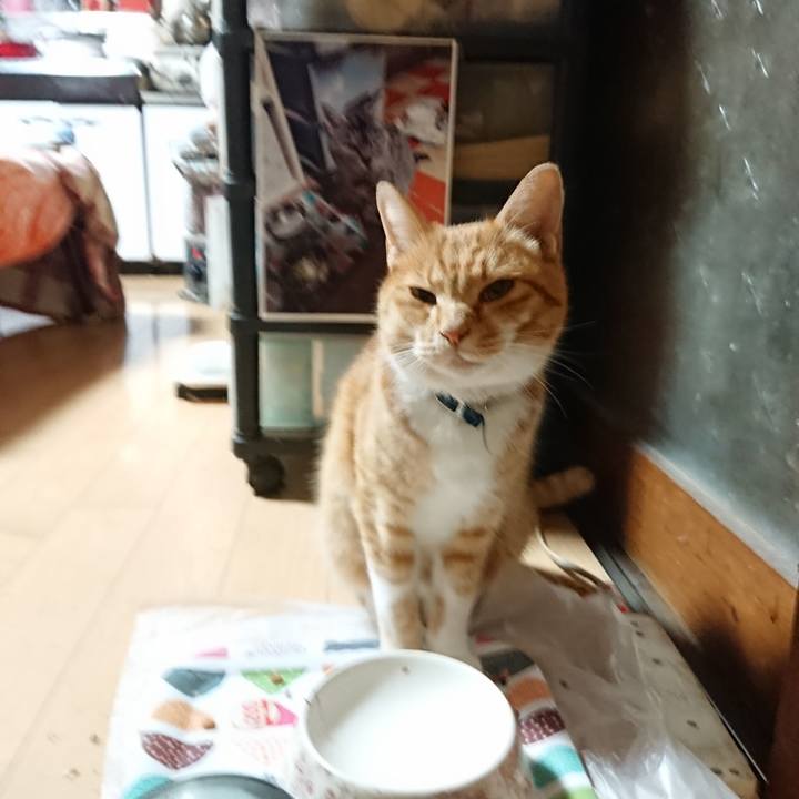 1ad47eea 4e07 4ea1 b235 45e60201abbf 1604780642282