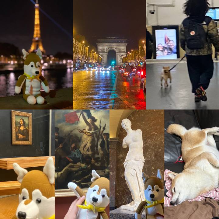 1ad486e7 a0fa 4893 b246 776de1d3c550 1669087481263