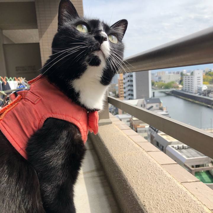 1ad4942f 5a8a 4656 8de9 81f25e3899e9 1555298216397