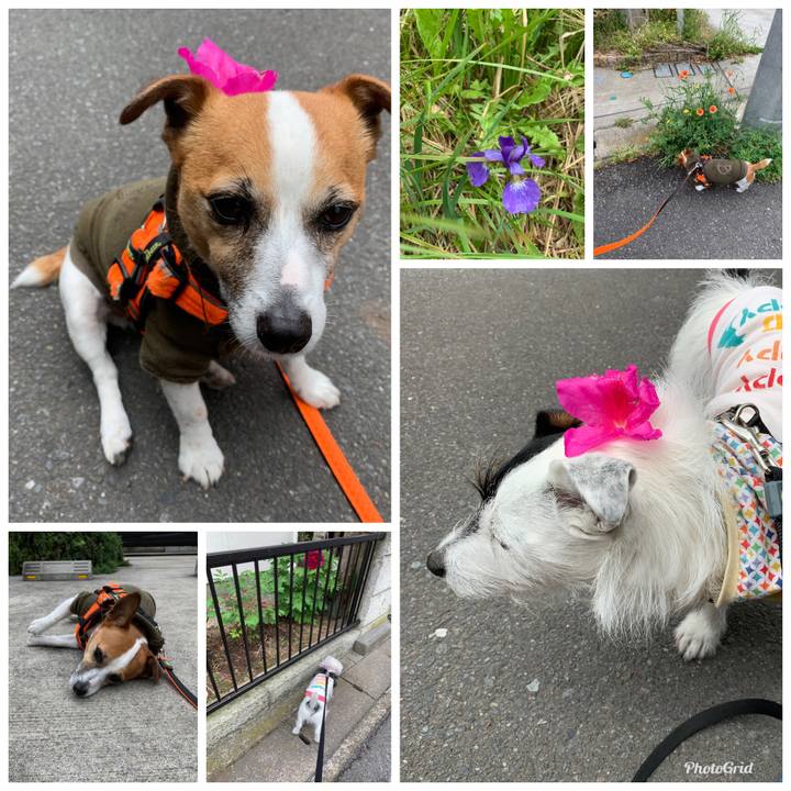 1ad4a964 d398 4875 9be5 2b4252d65a4d 1556067429373