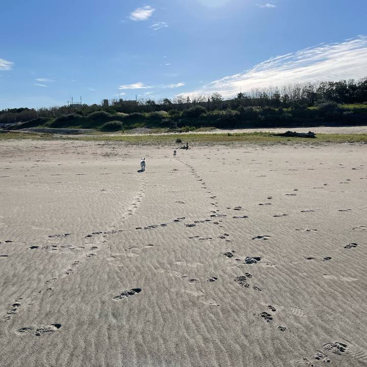 1ad4b635 e0ff 423d bd93 d70958fbbb57 1664413493881