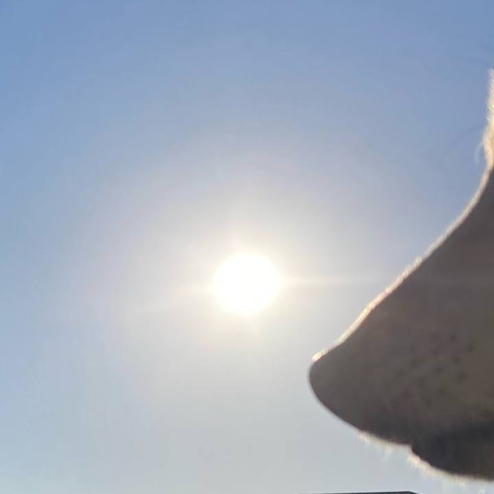 1ad5455c 83b1 4240 8210 b14f6d9269d9 1765930247225