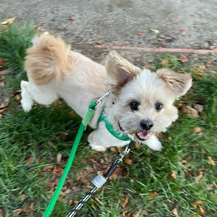 1ad557ef c121 4e13 9675 36ba9322369e 1634729255038