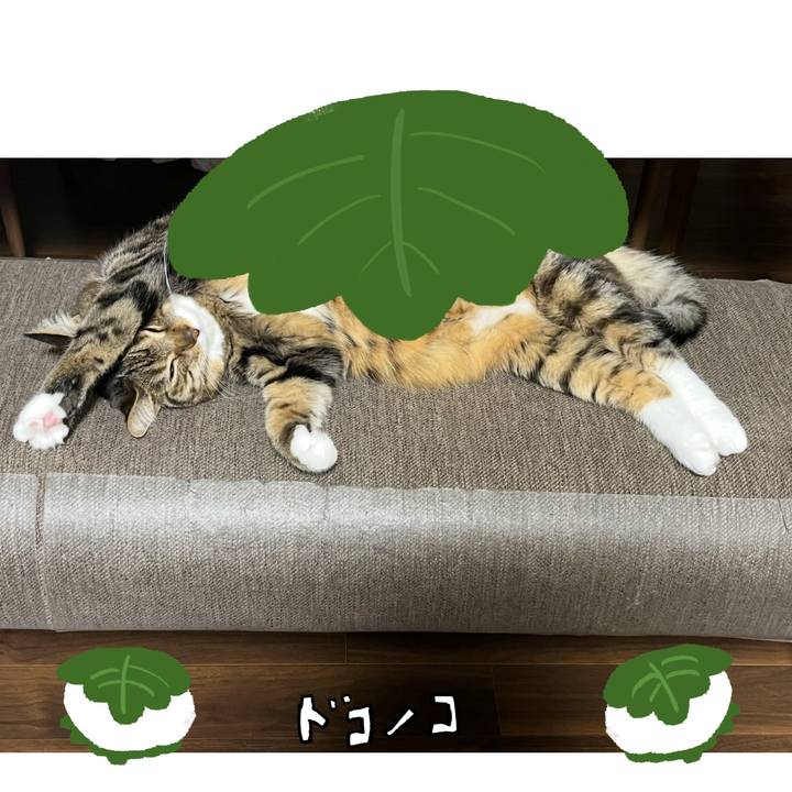 1ad57f58 1ed7 49da 9352 03a621b438a9 1749653924099