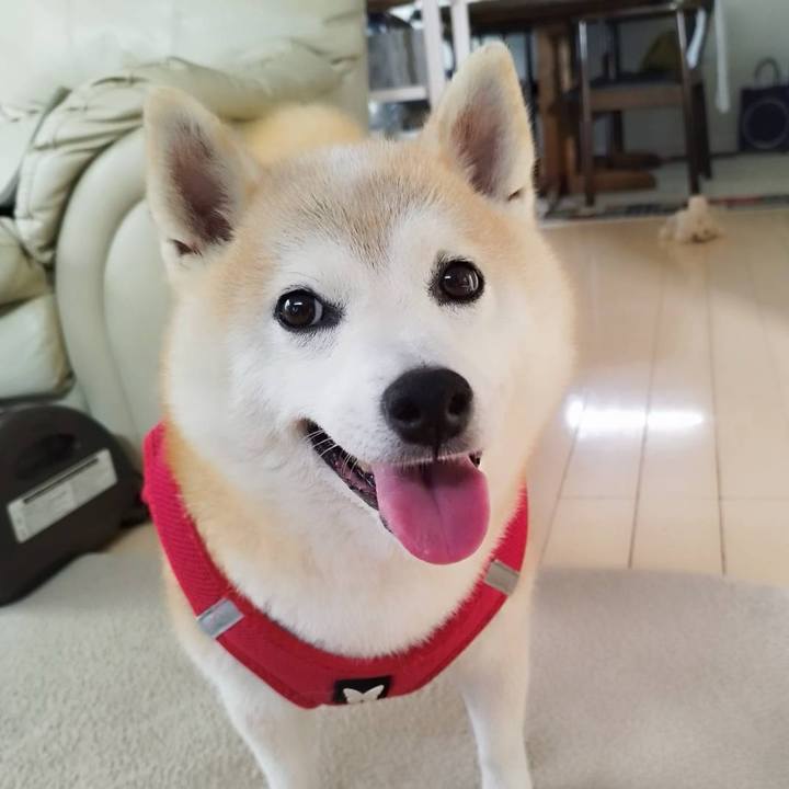 1ad5a207 59b0 4efd bcd7 20a80d83f95b 1754257283489