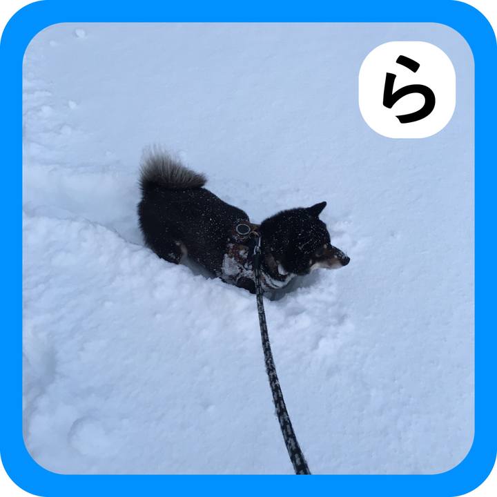 1ad5b659 5a58 4153 8b49 96c3858b9f12 1515032650452