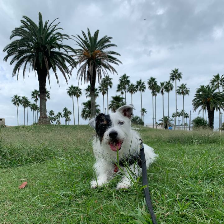 1ad5bbae 5307 499e 9809 b37a8c1acf1d 1696039249370