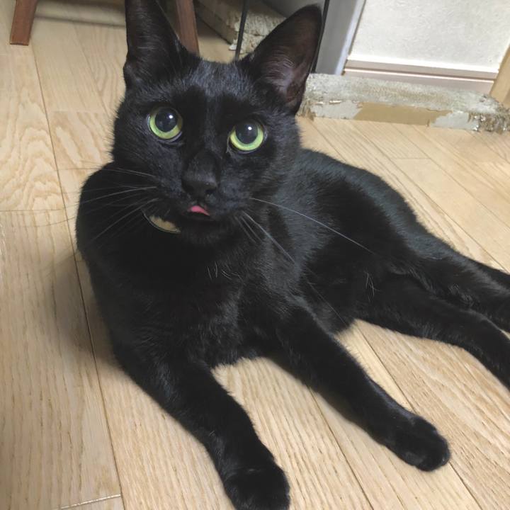 1ad67145 8060 4970 8d6e 7392ffe15e75 1607340854923