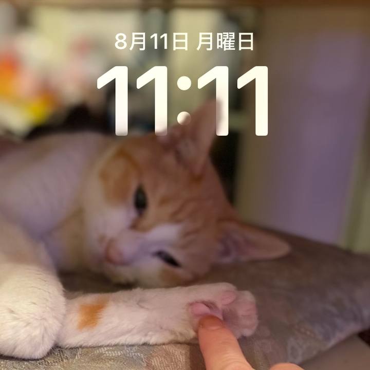 1ad67c53 d619 457b b58b 4fea84d38cdb 1754878418932