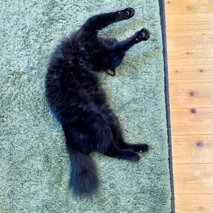 1ad6c61a 7156 4a70 8442 775c6816ffbb 1747697984425