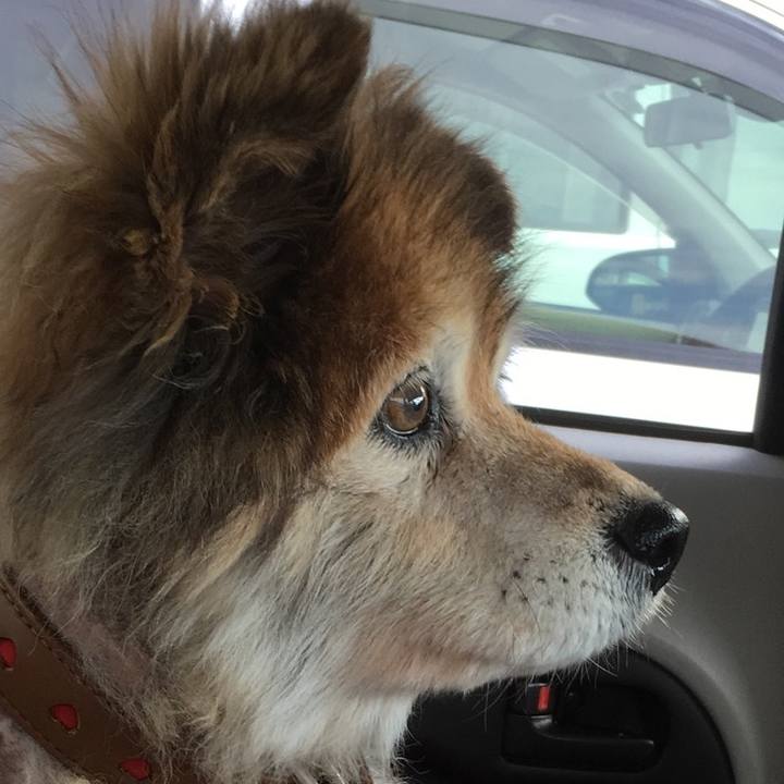 1ad7414e b724 4f40 a774 c8a688da1c97 1598301790038