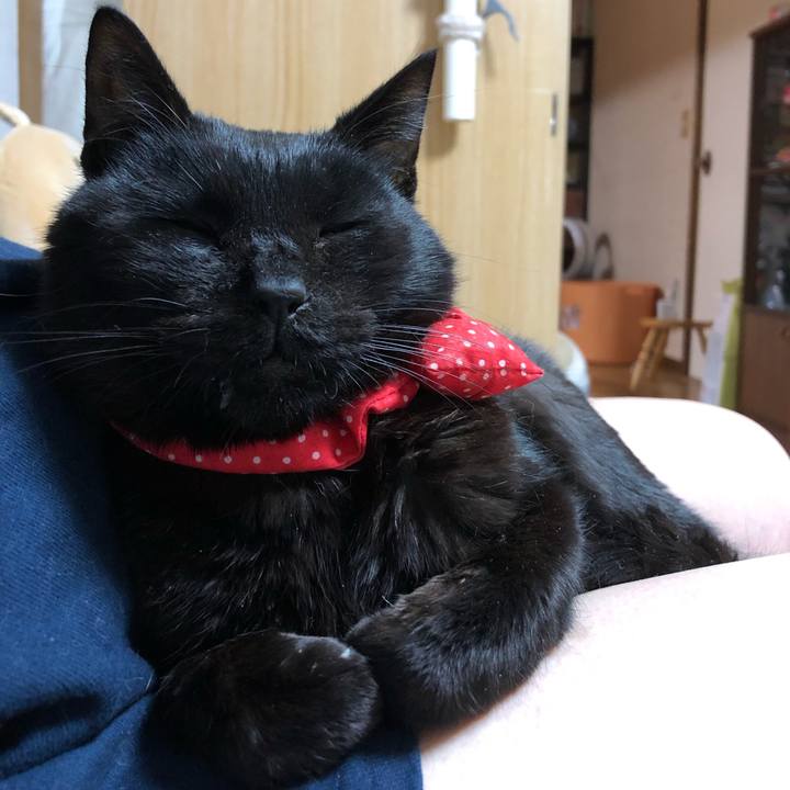 1ad74cd1 64d4 47e0 9e44 051f54c66c86 1554035203868