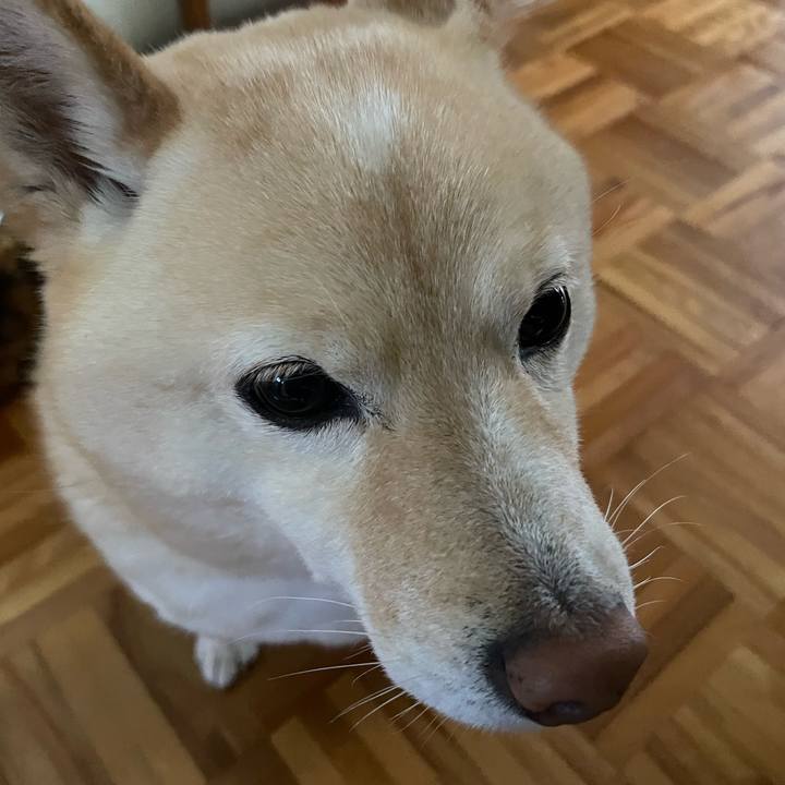 1ad76931 b803 49df 8af1 e966eed539c7 1706138824765