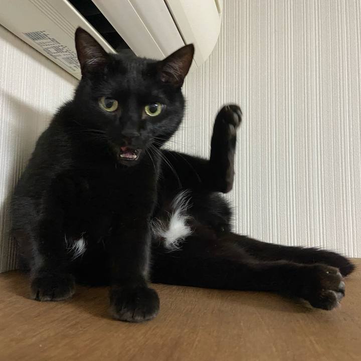 1ad77a68 a6a1 4e28 8172 9260d7242715 1681391660324