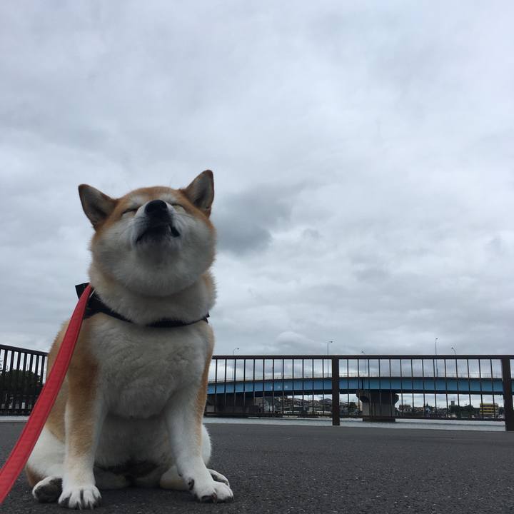 1ad77c82 2b0e 46e7 b2cc e62c386d6a5a 1595998917897