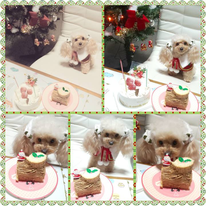 1ad7bc9f 5c9f 4bdb 91e9 83067d70411a 1640665311736