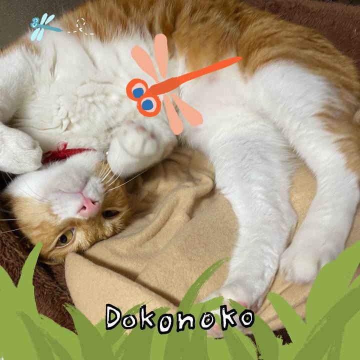 1ad7cc9e 4ea5 427f bea1 5566a5e061fb 1726832983116