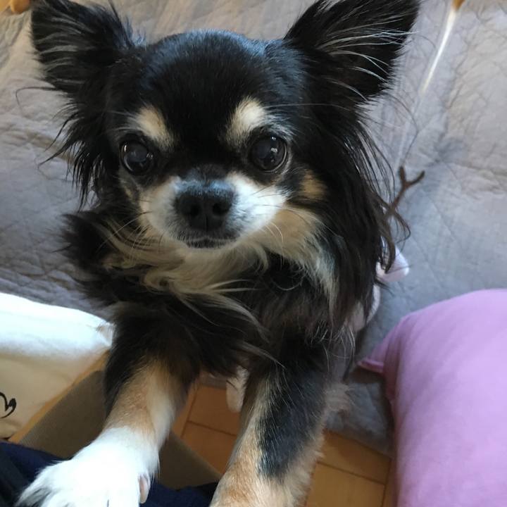 1ad810c5 062e 4220 803e abf04faee67b 1548160431340