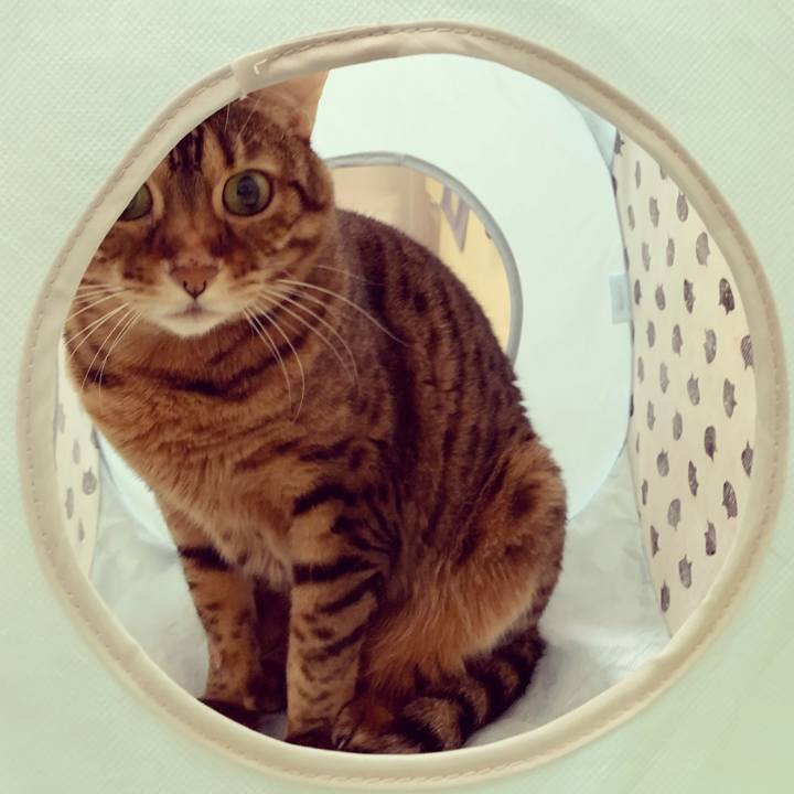 1ad85125 e40b 40a2 965c 34e5cec8efa0 1607641446518