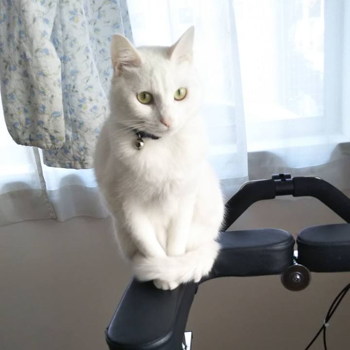 1ad89b04 e8da 4eac b3a3 2487db24ed35 1644969826570