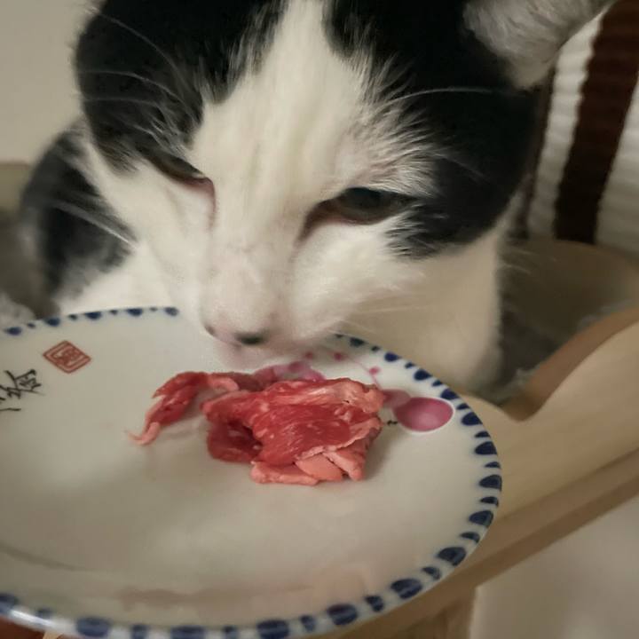 1ad8e2a9 0f2f 4fb7 abc8 4e6a726b86c7 1672056290330