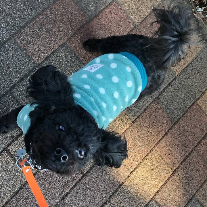 1ad8f51d ed31 4a96 a625 f0b919e0c661 1582510970979