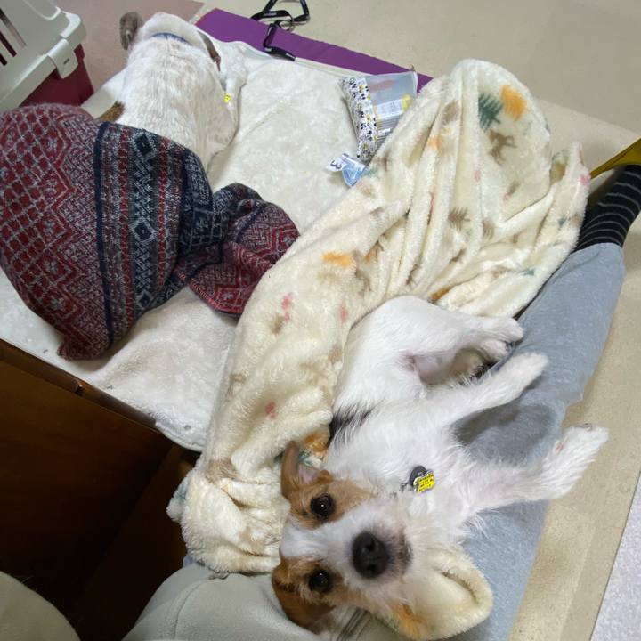 1ad919d5 2a90 444e 9b95 931927341583 1675167518797