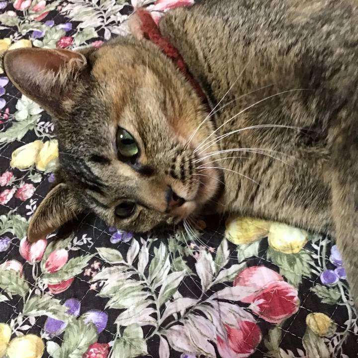 1ad953cd 92b1 492d 9138 e4c9c52785f6 1636624140881